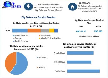 Big Data as a Service Market Trends, Opportunities and Forecast for 2030