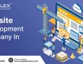 Website Development Company In Delhi